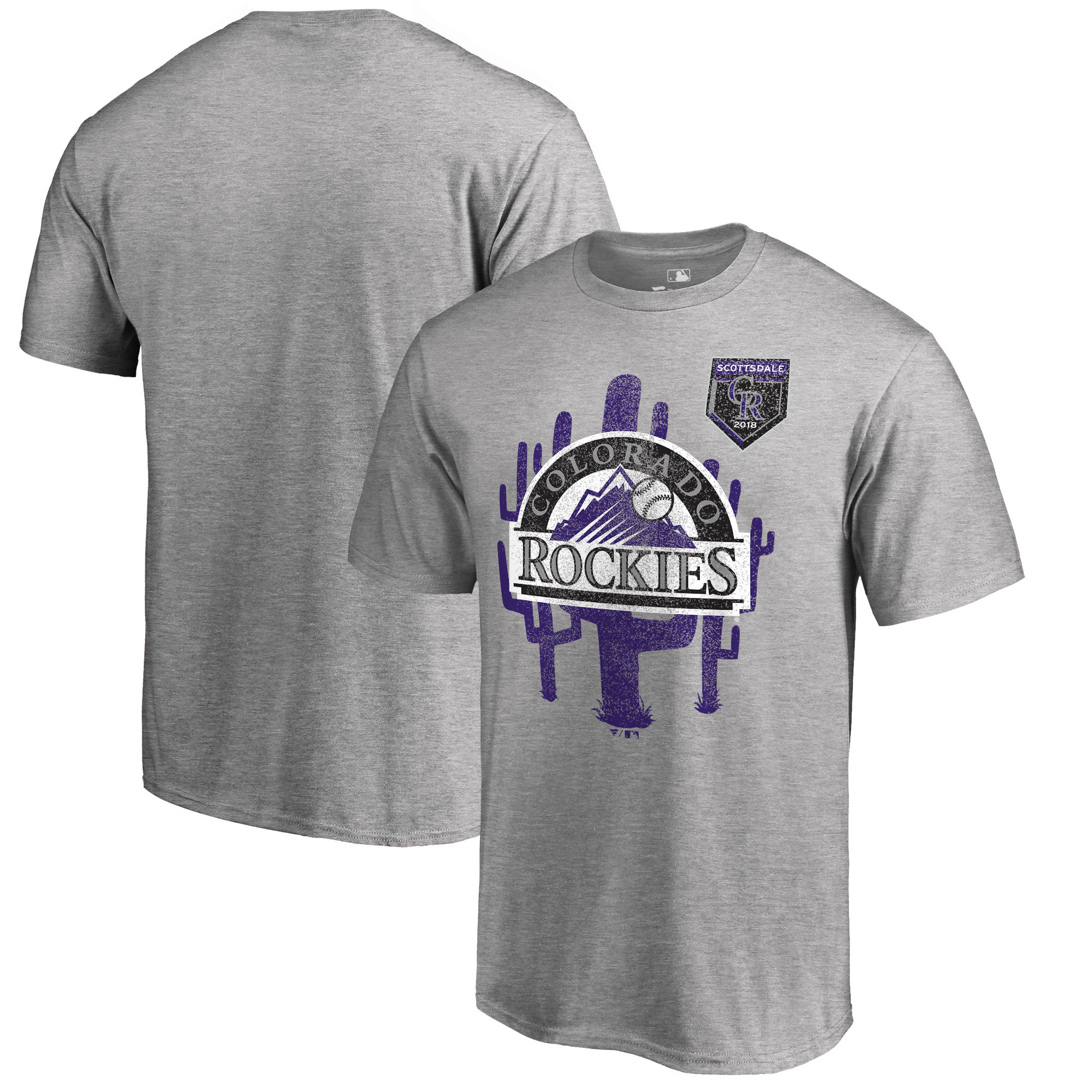 Men's Colorado Rockies Fanatics Branded 2018 MLB Spring Training Vintage T-Shirt ?C Heather Gray